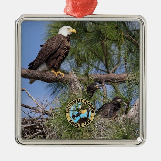 E10 E11 et ornement de vacances de famille (Devant)