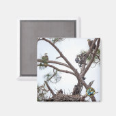 E10 en E11 + familiemagneet Magneet (Voorkant / Achterkant)