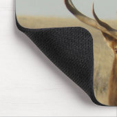 E13 Bull Elk Grass in Horns Head Shot Muismat (Hoek)