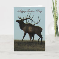 E14 Stier Eland Hoorns op de Horizon Silhouet