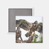 E15 E16 Magnet commémoratif (Recto/Verso)