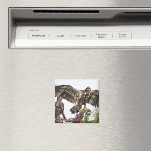 E15 E16 Magnet commémoratif (In Situ (Lave-vaisselle))