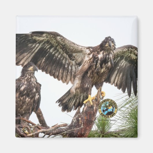 E15 E16 Magnet commémoratif (Devant)