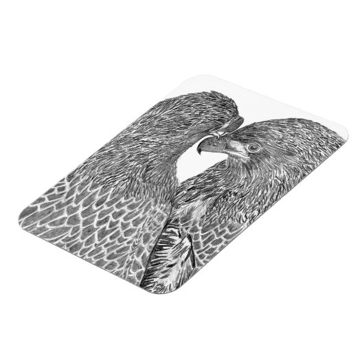 E15 EN E16 TWEEDE NATUUR JONGE ELGF MAGNEET (Linkerzijde)