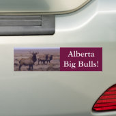 E19 Bull Elk Double Drop Tines Bumpersticker (Op auto)
