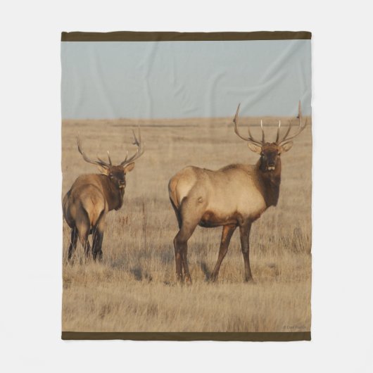 E1 Bull Elk Fleece Deken (Voorkant)