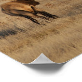 E1 Bull Elk Young Bulls Poster (Hoek)