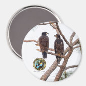 E21 & E22 Beste knoppen Seizoen 11 Magneet (Voorkant / Achterkant)