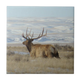 E22 Bull Elk en Besneeuwde Heuvels Tegeltje