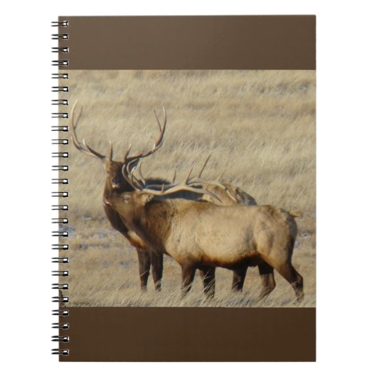 E24 Bull Elk Notitieboek (Voorkant)