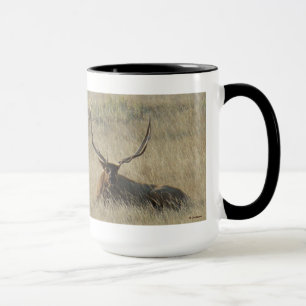 E25 Bull Elk Liggend in het Gras Mok
