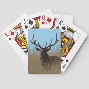 E26 Mannetjeseland liggend in het onkruid Pokerkaarten