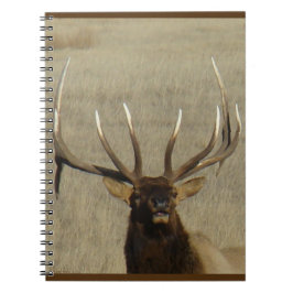 E29 Bull Elk Head Shot Notitieboek