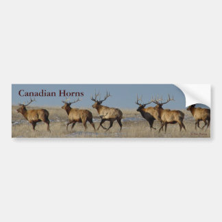 E2 Bull Elk Rent Bumpersticker
