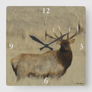 E30 Grote Bull Elk Stier Vierkante Klok