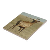 E35 Bull Elk Grass in Hoorns Tegeltje (Zijkant)