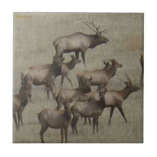 E37 Elk Herd Tegeltje