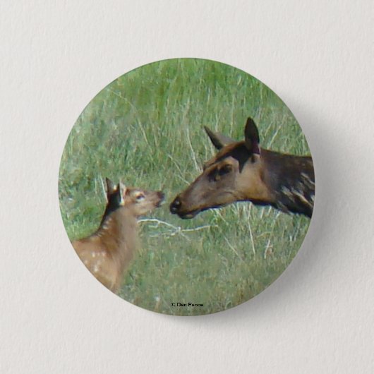 E3 Kow Elk en Calf Ronde Button 5,7 Cm (Voorkant)