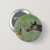 E3 Kow Elk en Calf Ronde Button 5,7 Cm (Voorkant /achterkant)