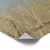 E43 Young Bull Elk Poster (Hoek)