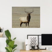 E46 Bull Elk Big Bull Poster (Thuiskantoor)