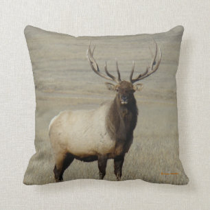 E46 Grote Bull Elk Stier Kussen