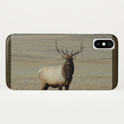 E46 Wapitihengst Case-Mate iPhone Case (Achterkant (horizontaal))