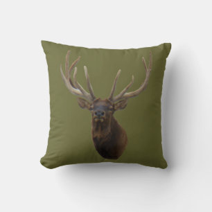 E48 Bull Elk Kop in Fluwelen Kussen
