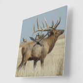 E4 Big Bull Elk Vierkante Klok (Hoek)