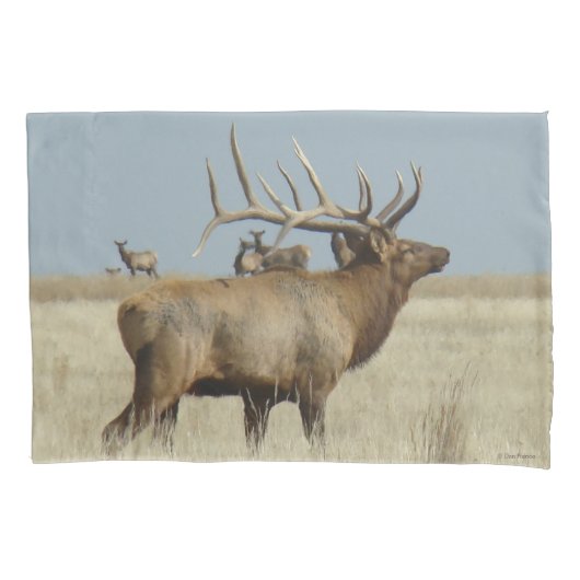 E4 Bull Elk Herd Master Kussensloop (Voorkant)