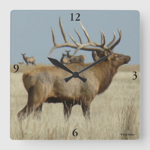 E4 Bull Elk kuddebaas Vierkante Klok