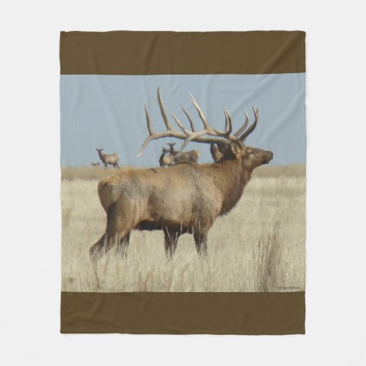 E4 Mannetjeseland Master Fleece Deken (Voorkant)