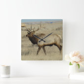 E55 Bull Elk Vierkante Klok (Huis)