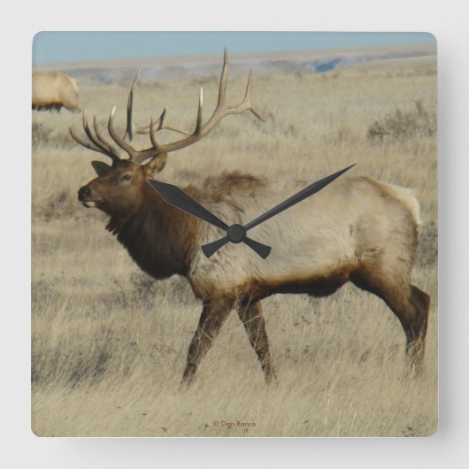 E55 Bull Elk Vierkante Klok (Voorkant)