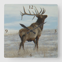 E58 Bull Elk Lucky 13 Stier