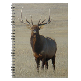 E59 Bull Elk Notitieboek