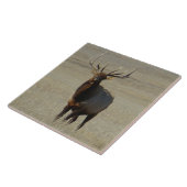 E59 Bull Elk Tegeltje (Zijkant)