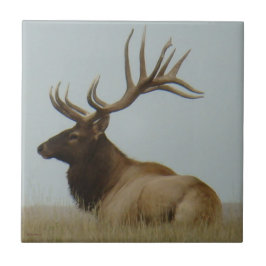 E5 mannetjeseland enorme stier tegeltje