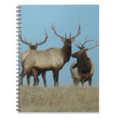 E60 Bull Elk Skylining Notitieboek (Voorkant)