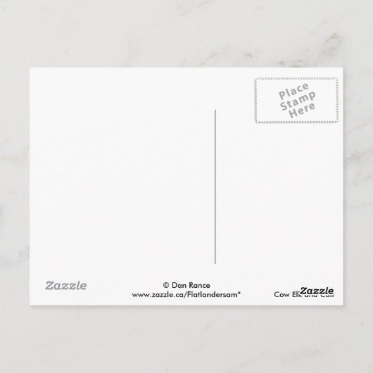 E61 Kow Elk en Calf Briefkaart (Achterkant)