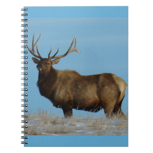 E62 Bull Elk Sky Lined Notitieboek (Voorkant)
