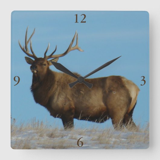 E62 Bull Elk Sky Lined Vierkante Klok (Voorkant)