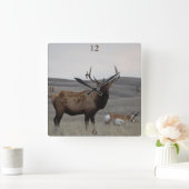 E63 Bull Elk en Pronghorn Antelope Vierkante Klok (Huis)