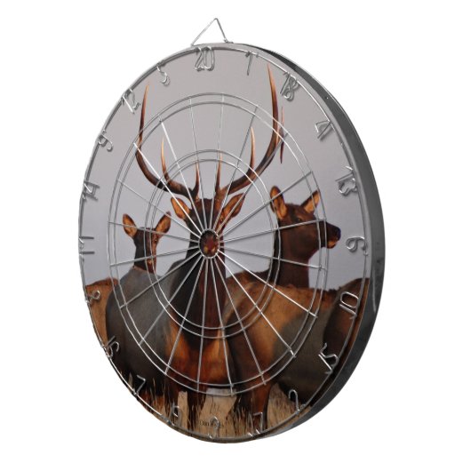 E66 Elk bull en koeien Dartbord (Voorkant Rechts)