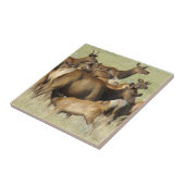 E7 Koe Voeding Kalvereland Tegeltje (Zijkant)