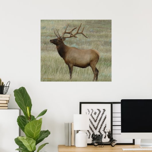 E8 Bull Elk in Velvet Poster (Thuiskantoor)