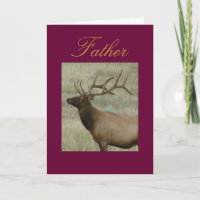 E9 Bull Elk in Fluwelen Kop en Schouders