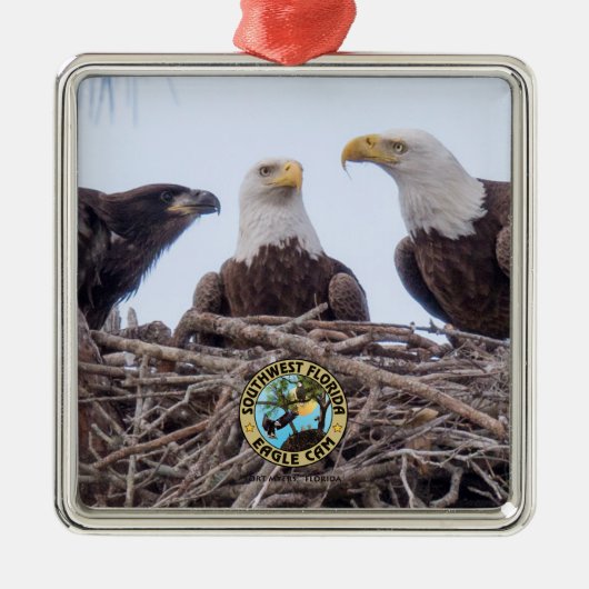 E9 & Family Holiday Ornament (Voorkant)