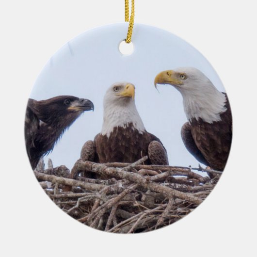 E9 & Family Holiday Ornament (Voorkant)