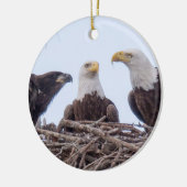 E9 & Family Holiday Ornament (Links)